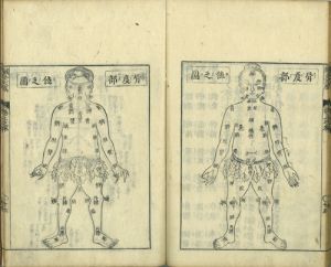 鍼灸抜萃大成／岡本一抱