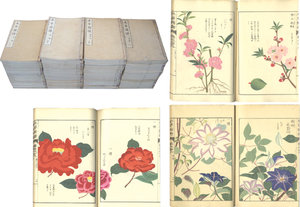 本草図譜／岩崎灌園編