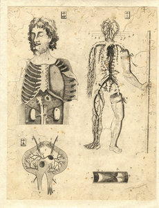 ［和蘭内景］ 医範提綱・医範提綱附図／宇田川榛斎訳　諏訪俊編　亜欧堂田善鐫