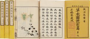 草木図説前編 草部／飯沼慾斎