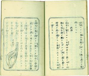 西洋料理指南／敬学堂主人