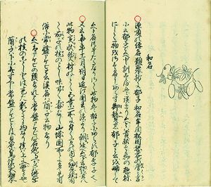牟閉名実考／無相子