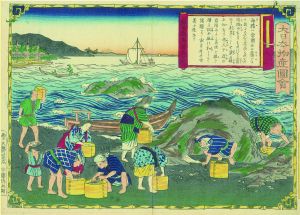 大日本物産図会　越前国　海膽取之図／三代広重