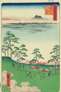 名所江戸百景 飛鳥山北の眺望／広重