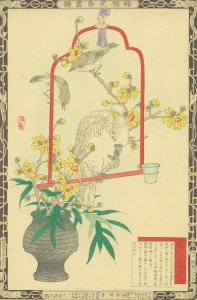 楳嶺花鳥画譜 蠟梅 鸚鵡／楳嶺