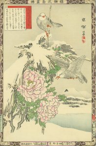楳嶺花鳥画譜 島鵯 温牡丹 しまひよどり ふゆぼたん／楳嶺