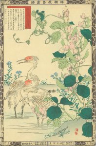 楳嶺花鳥画譜 藊豆 朱鷺／楳嶺